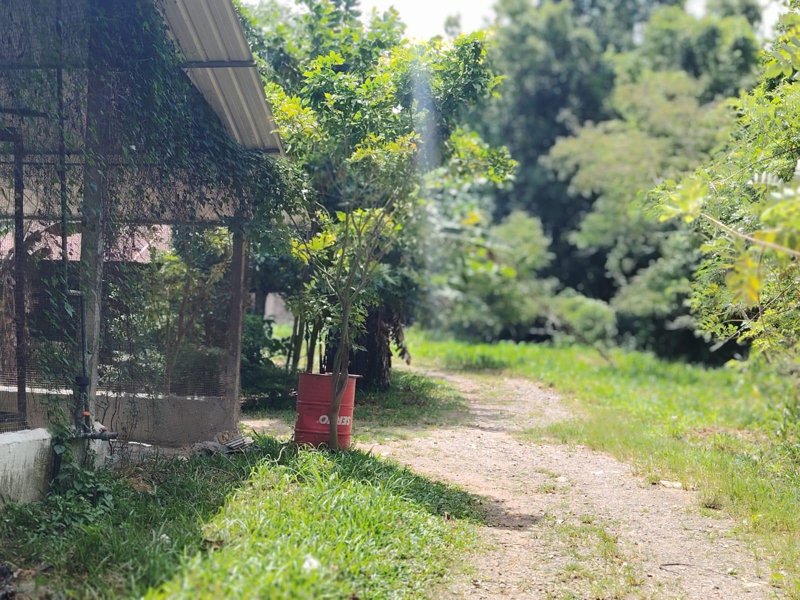 Poultry Farm for Sale Kanaththewewa