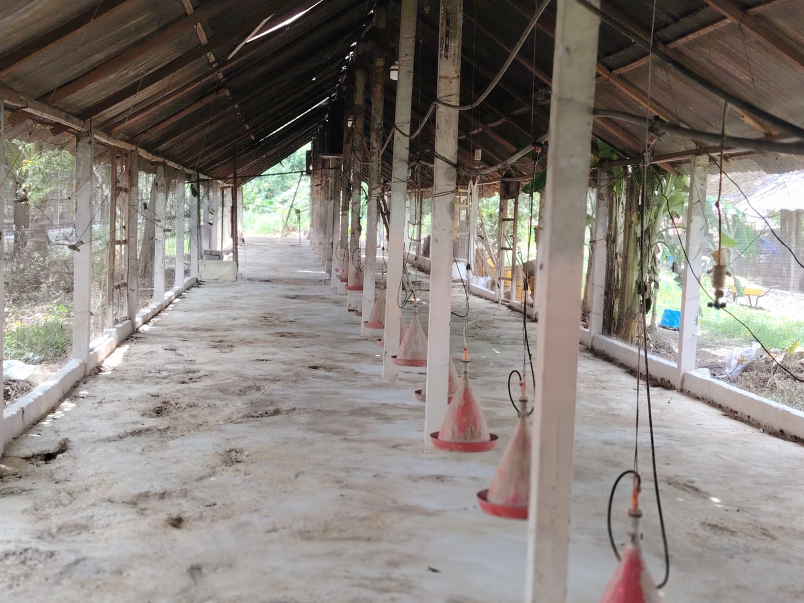 Poultry Farm for Sale Kanaththewewa
