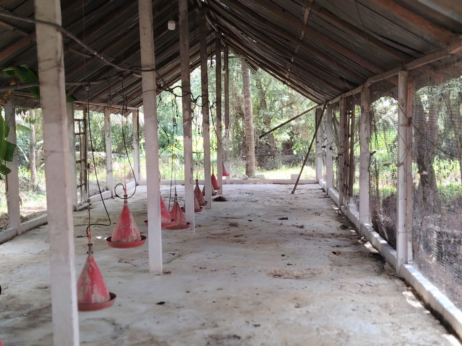 Poultry Farm for Sale Kanaththewewa