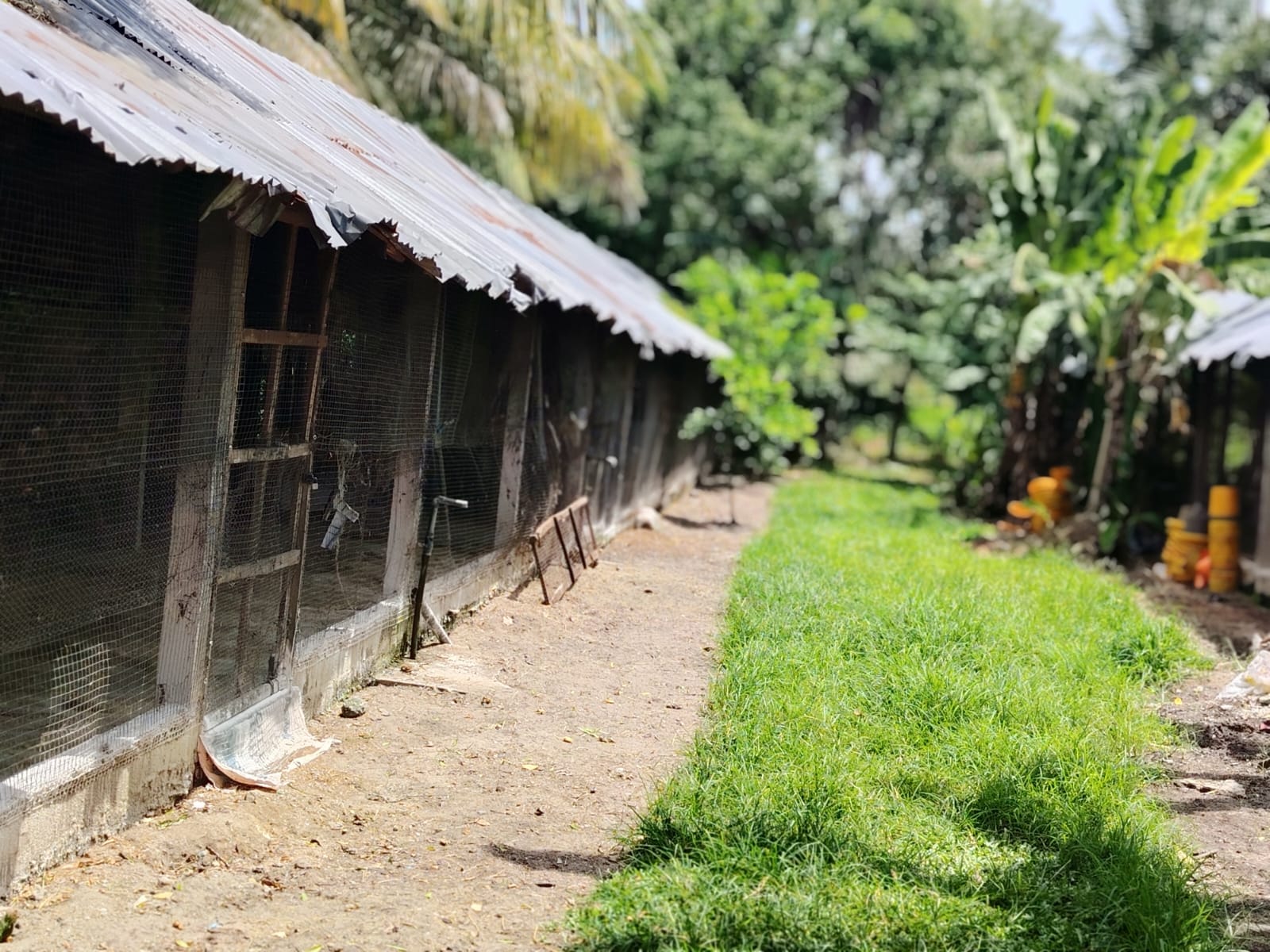 Poultry Farm for Sale Kanaththewewa