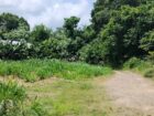 Poultry Farm for Sale Kanaththewewa