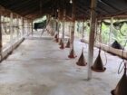 Poultry Farm for Sale Kanaththewewa