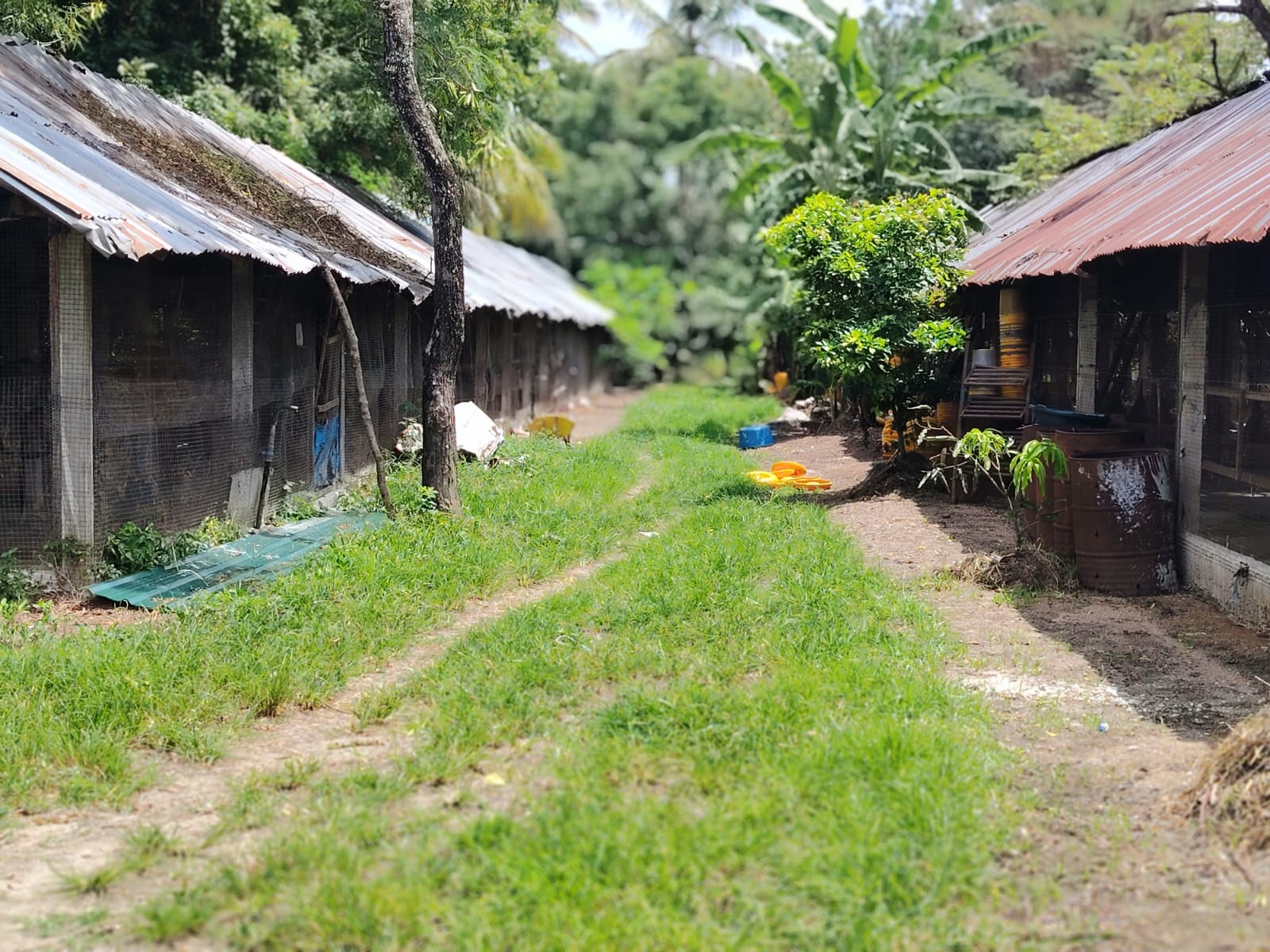 Poultry Farm for Sale Kanaththewewa