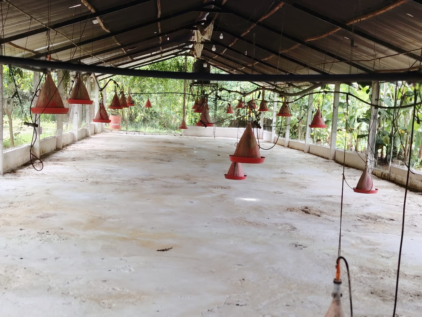 Poultry Farm for Sale Kanaththewewa