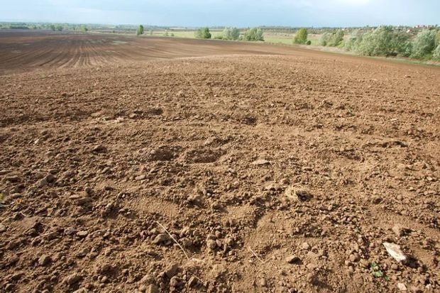 Haragama Lands for Sale