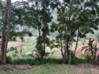 Land for Sale in Bandarawela