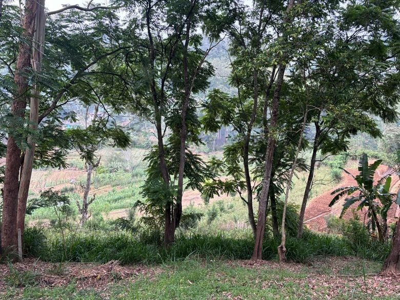 Land for Sale in Bandarawela