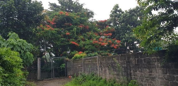 Land For Sale In Colombo 6