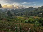 Land for Sale in Bandarawela