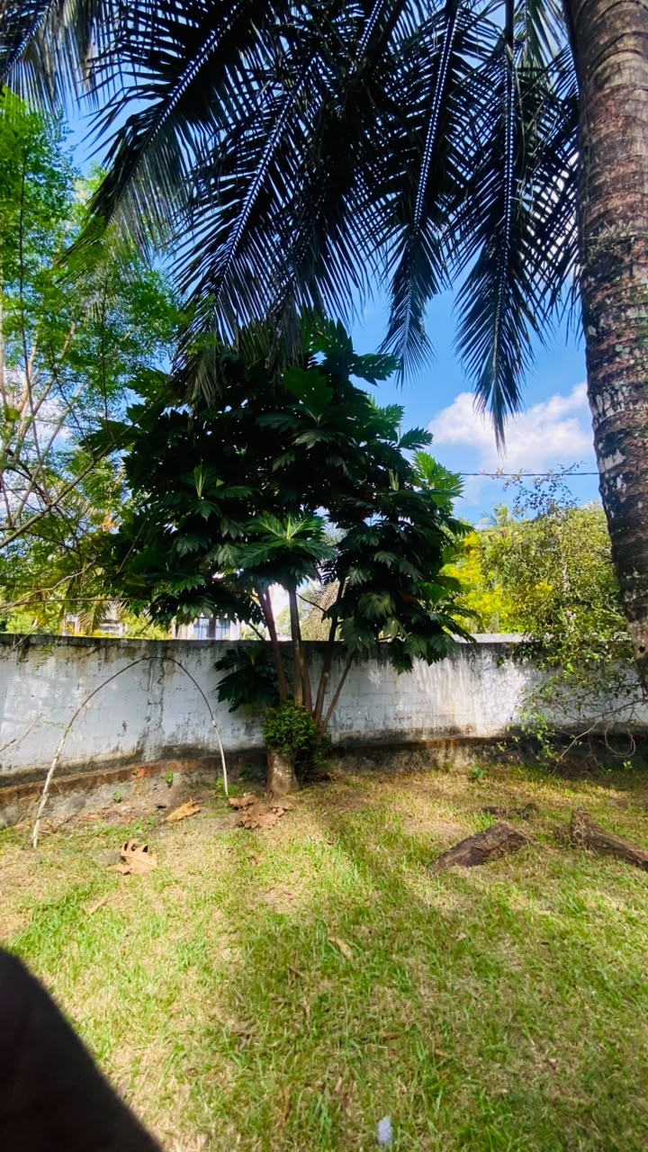 Land With House For Sale In Ja-Ela