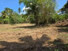 Land for Sale Kamburugamuwa