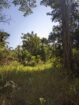 27 Perch Land for Sale – Buttala