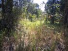 27 Perch Land for Sale – Buttala