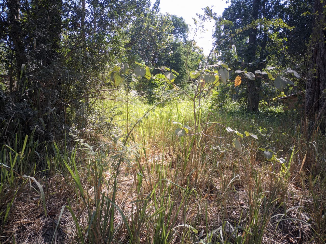 27 Perch Land for Sale – Buttala