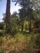 27 Perch Land for Sale – Buttala