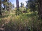 27 Perch Land for Sale – Buttala