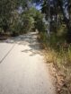 27 Perch Land for Sale – Buttala