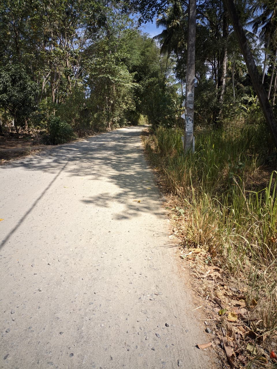 27 Perch Land for Sale – Buttala