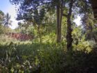 27 Perch Land for Sale – Buttala