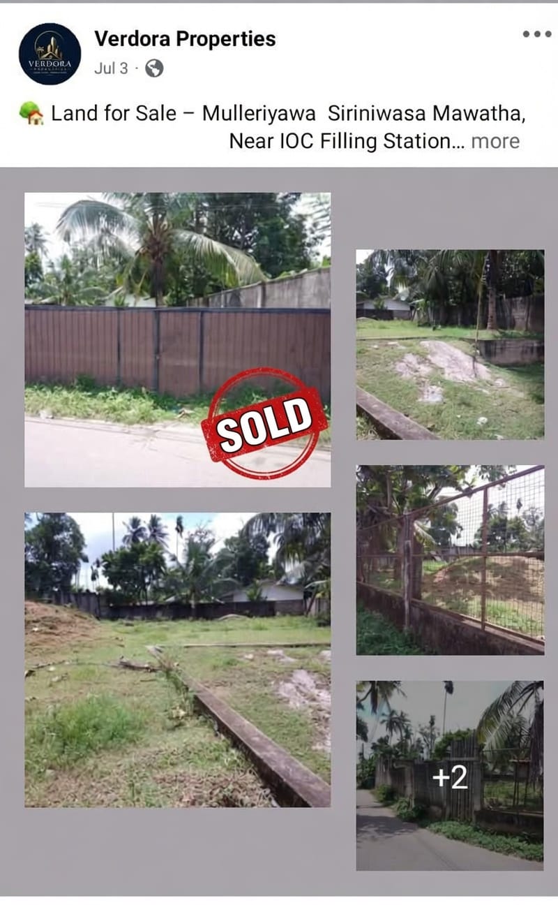 Welcome To Verdora Properties