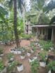 VALUABLE COCONUT & FRUIT FARM FOR SALE IN PANNALA 🌴