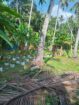 VALUABLE COCONUT & FRUIT FARM FOR SALE IN PANNALA 🌴