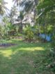 VALUABLE COCONUT & FRUIT FARM FOR SALE IN PANNALA 🌴