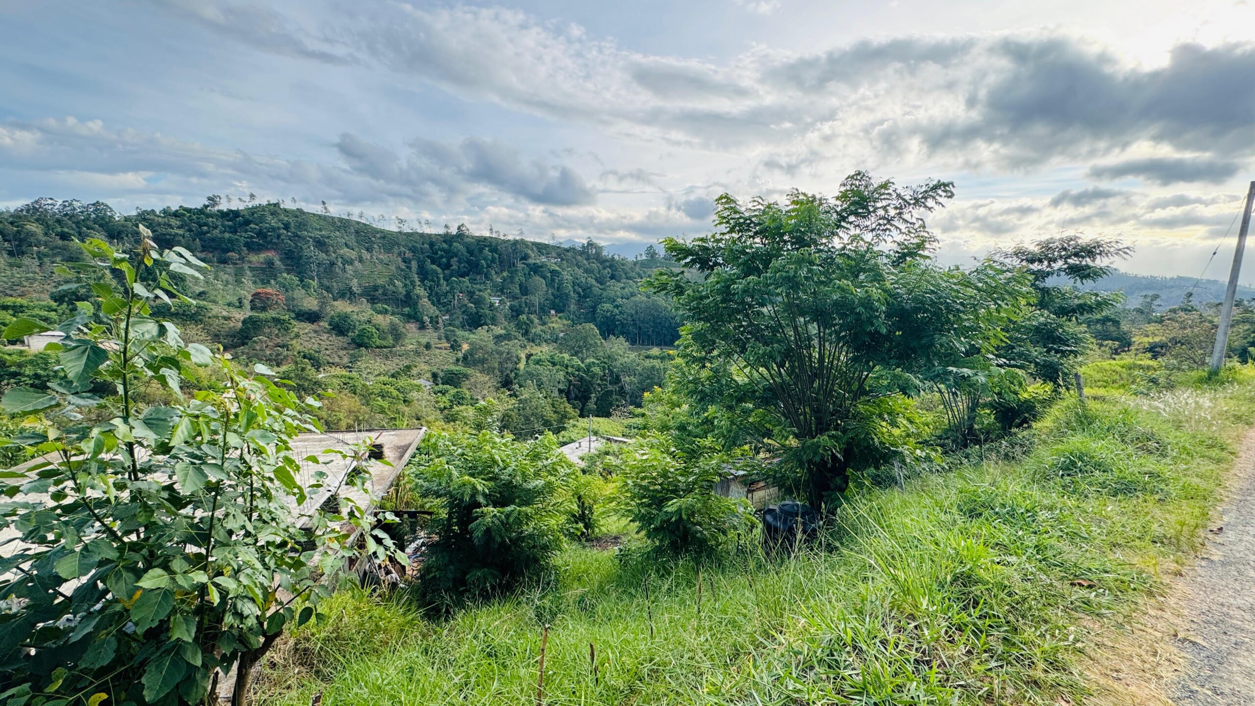 බණ්ඩාරවෙල – ඇටම්පිටිය ප්‍රධාන මාර්ගයට ආසන්න වටිනා ඉඩමක් විකිණීමට