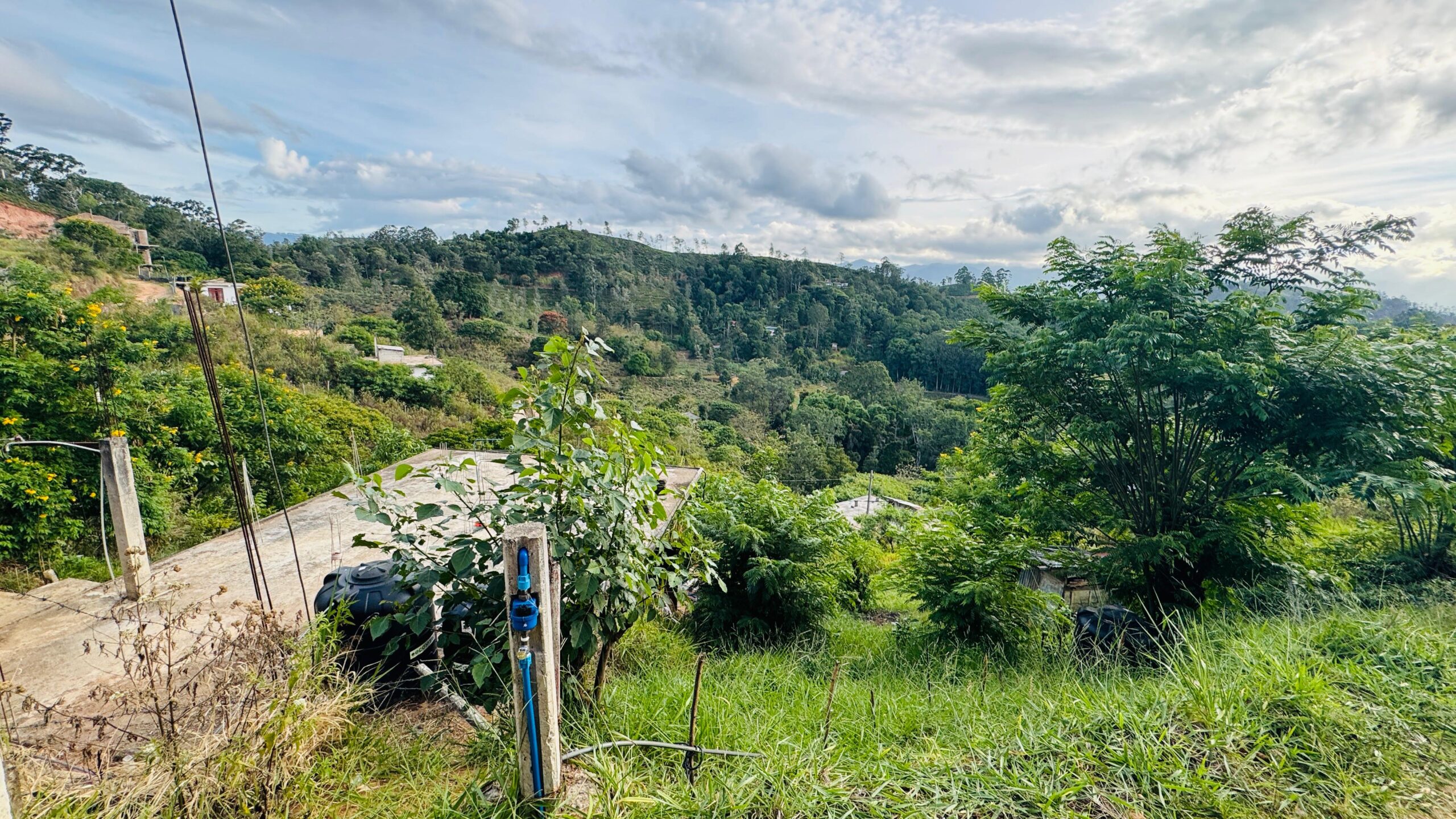 බණ්ඩාරවෙල – ඇටම්පිටිය ප්‍රධාන මාර්ගයට ආසන්න වටිනා ඉඩමක් විකිණීමට
