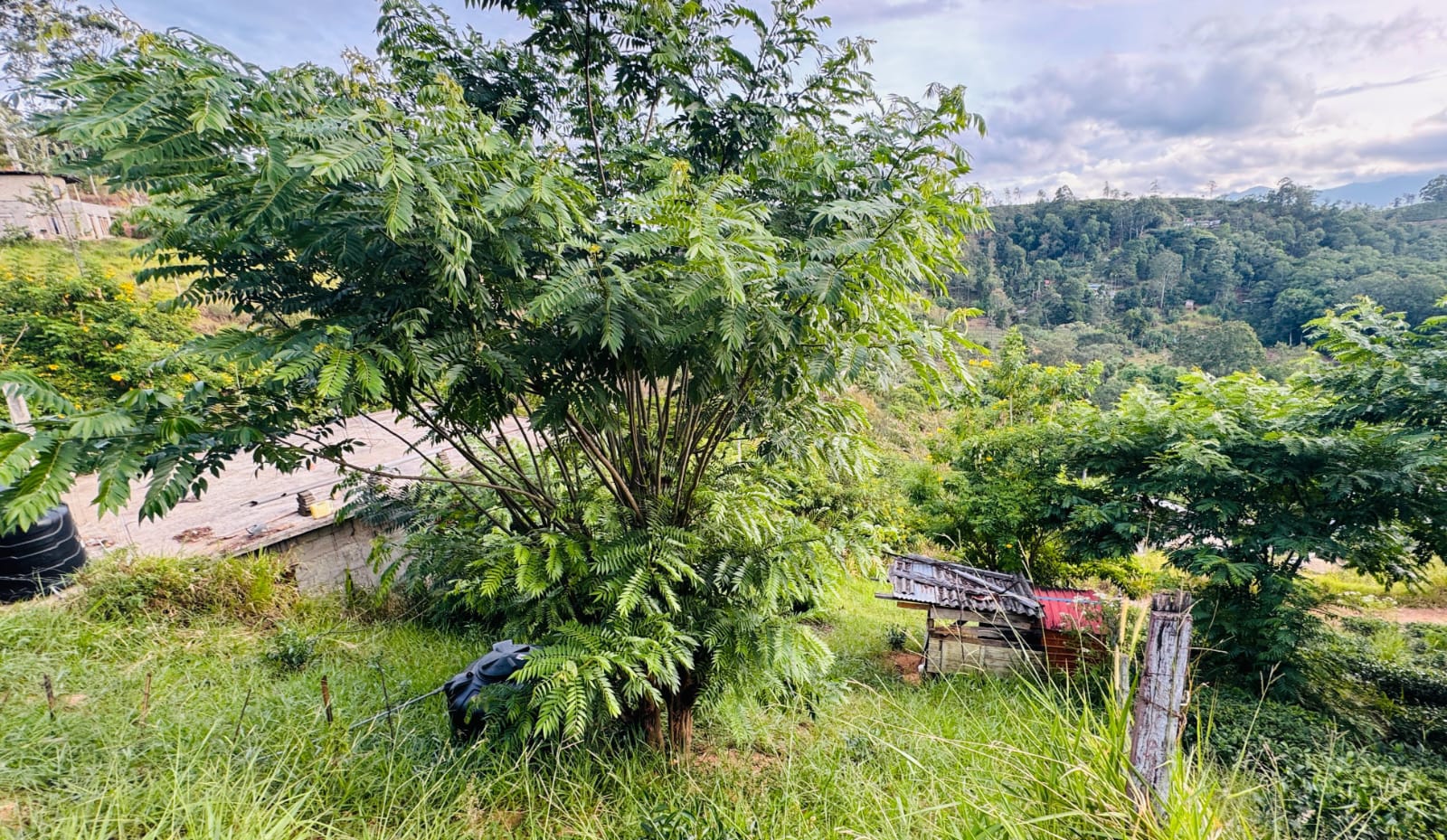 බණ්ඩාරවෙල – ඇටම්පිටිය ප්‍රධාන මාර්ගයට ආසන්න වටිනා ඉඩමක් විකිණීමට
