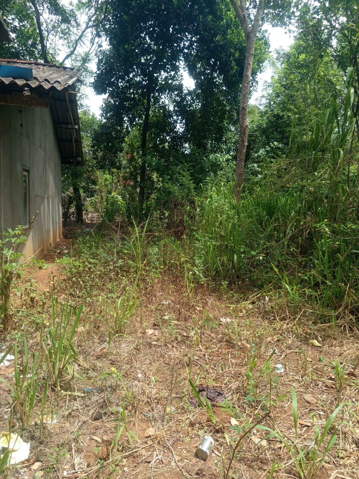 House for Sale Wellawaya