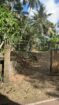 🌿 21 Perches Bare Land for Sale – Horana | Urgent Sale