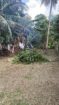 🌿 21 Perches Bare Land for Sale – Horana | Urgent Sale