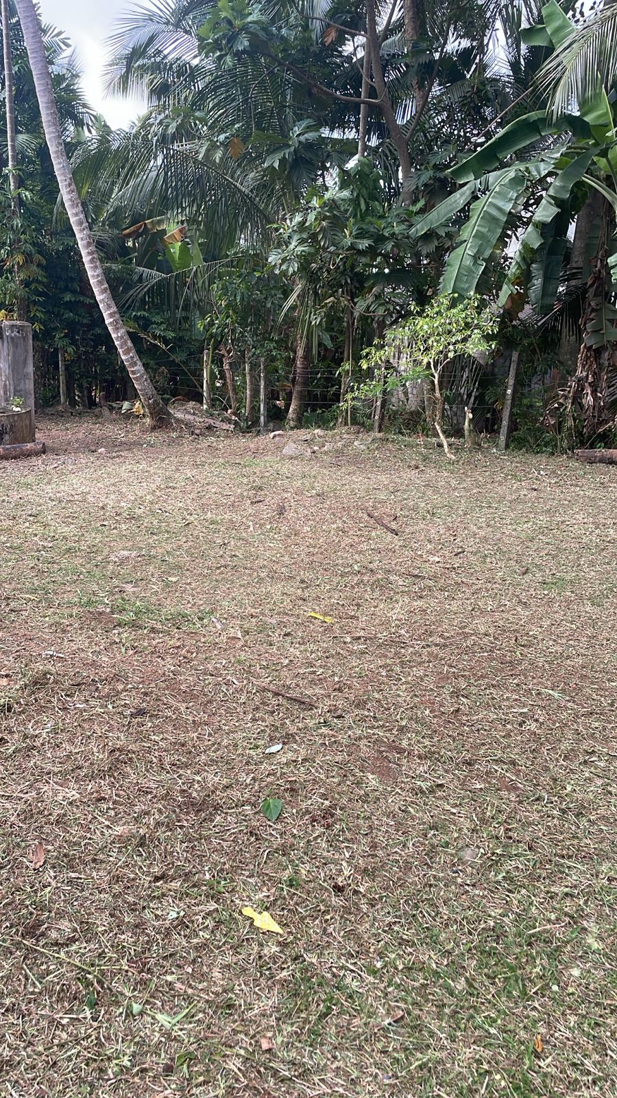 🌿 21 Perches Bare Land for Sale – Horana | Urgent Sale