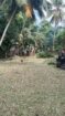 🌿 21 Perches Bare Land for Sale – Horana | Urgent Sale