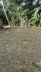 🌿 21 Perches Bare Land for Sale – Horana | Urgent Sale