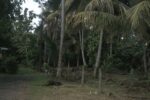 Land for Sale – Mordaravila, Panadura