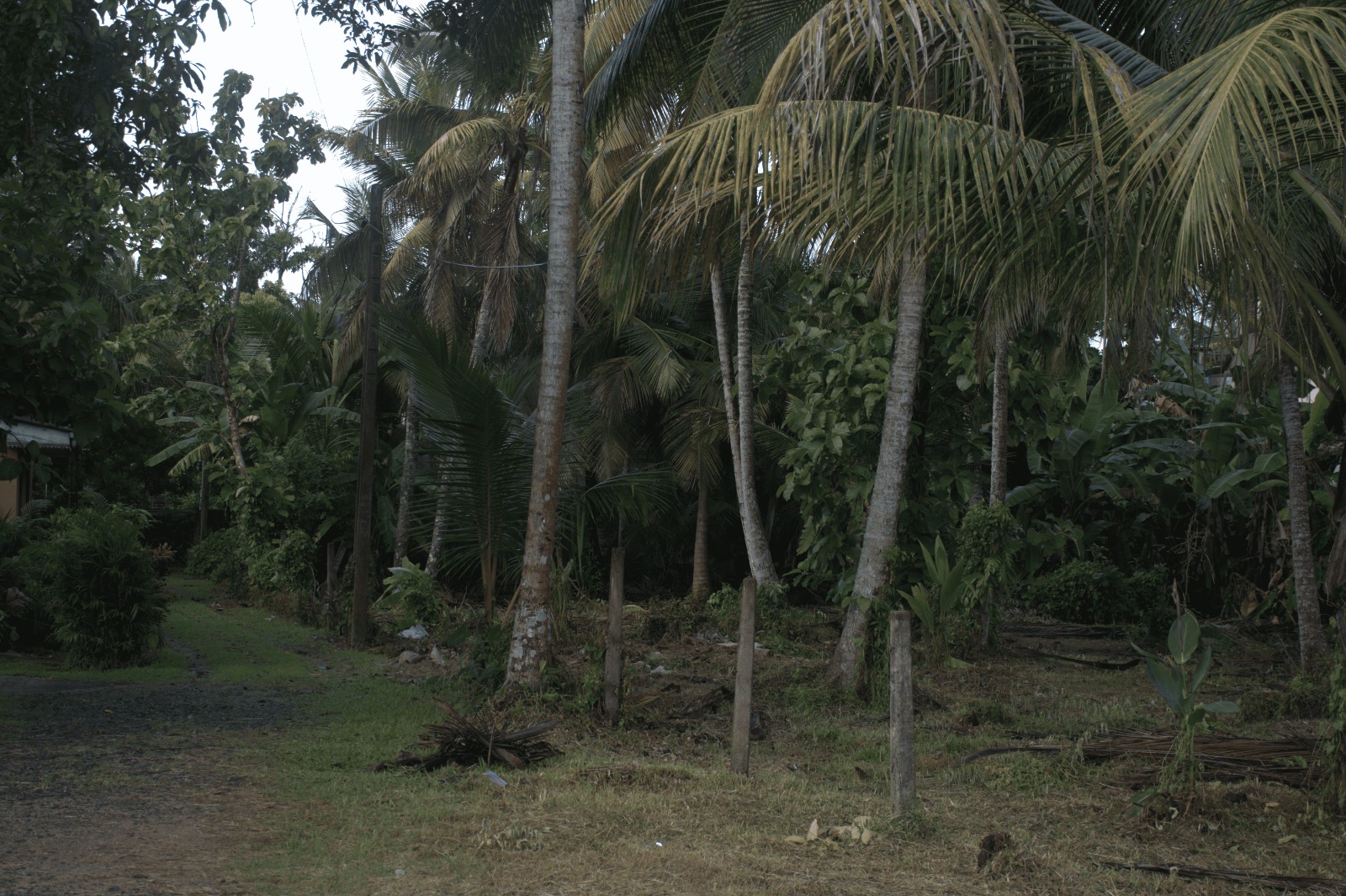 Land for Sale – Mordaravila, Panadura