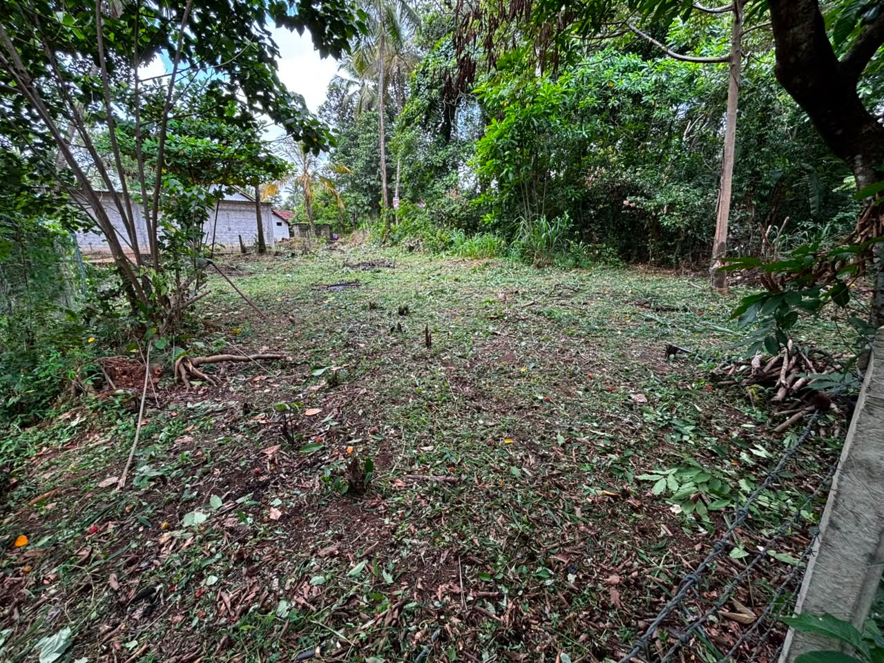 Land for Sale near Thewaththa Church