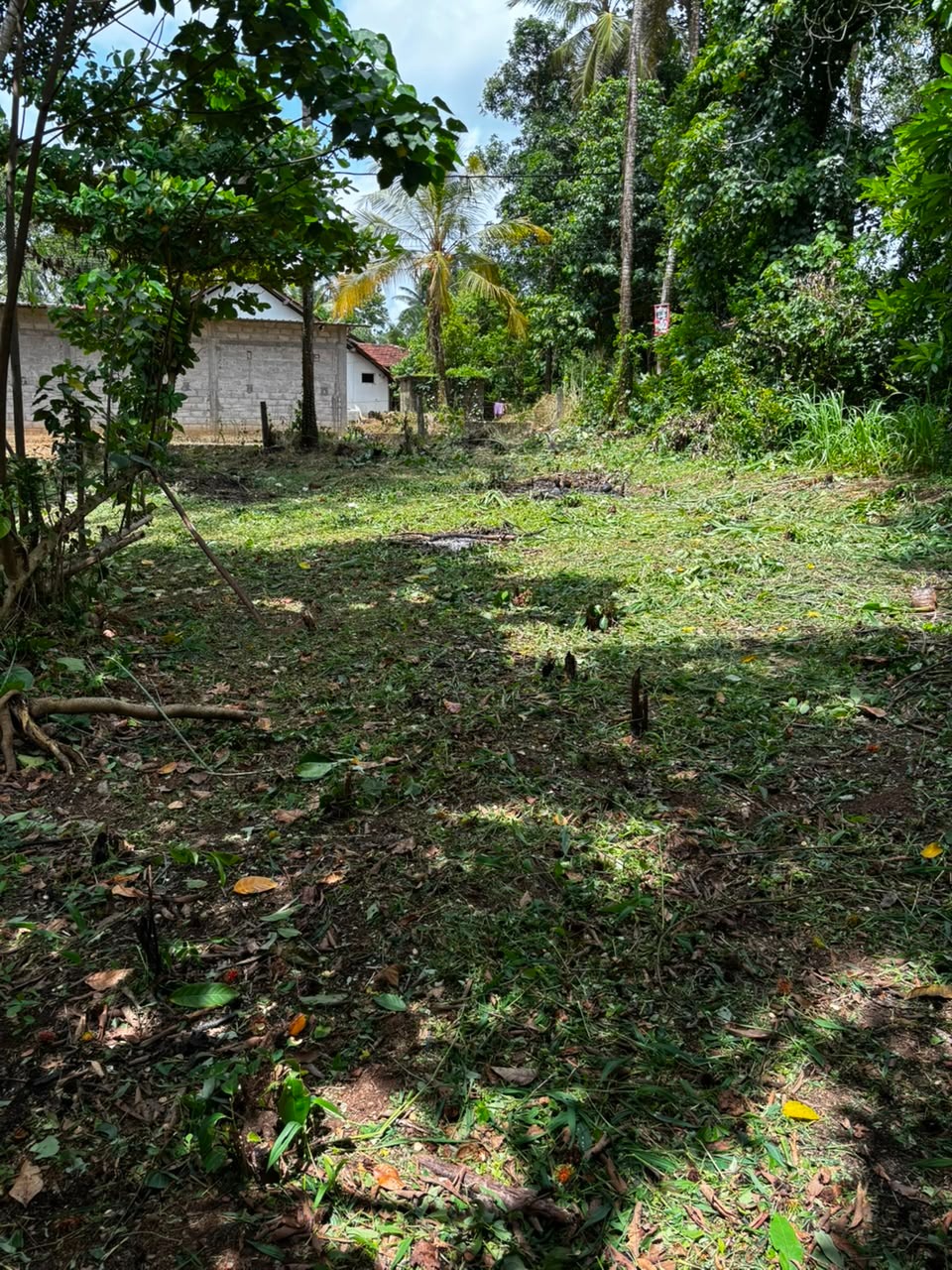 Land for Sale near Thewaththa Church