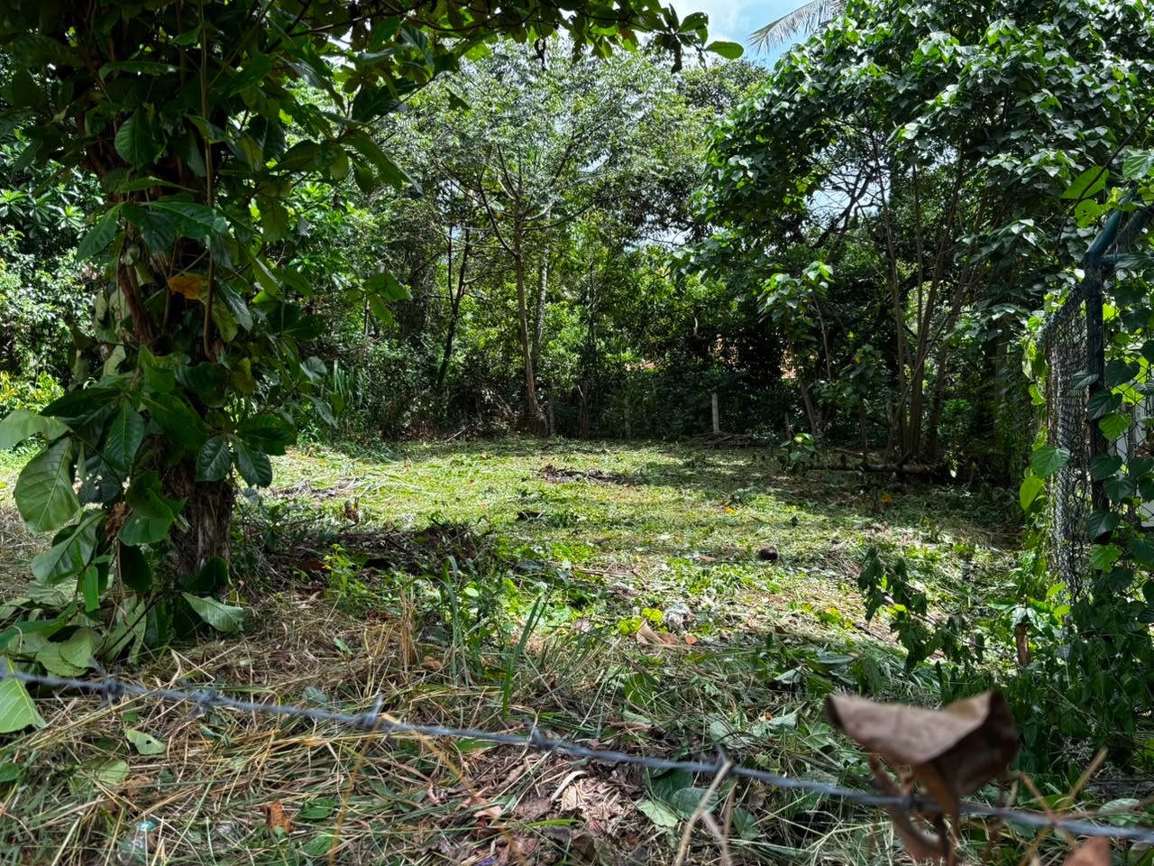 Land for Sale near Thewaththa Church
