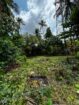Land for Sale near Thewaththa Church