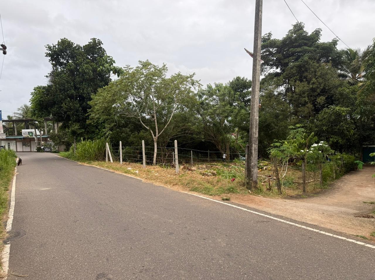 අතුරුගිරිය අධිවේගී පිවිසුම අසල පර්චස් 15ක වටිනා ඉඩමක් විකිණීමට!