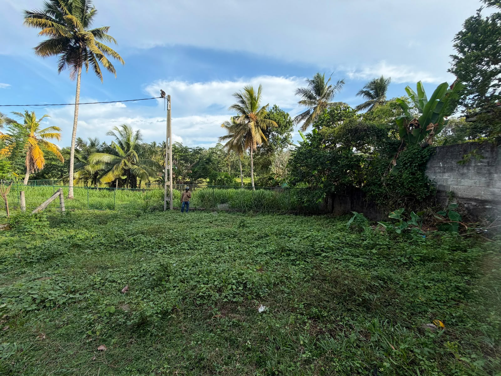 Land For Sale In Bandragama City