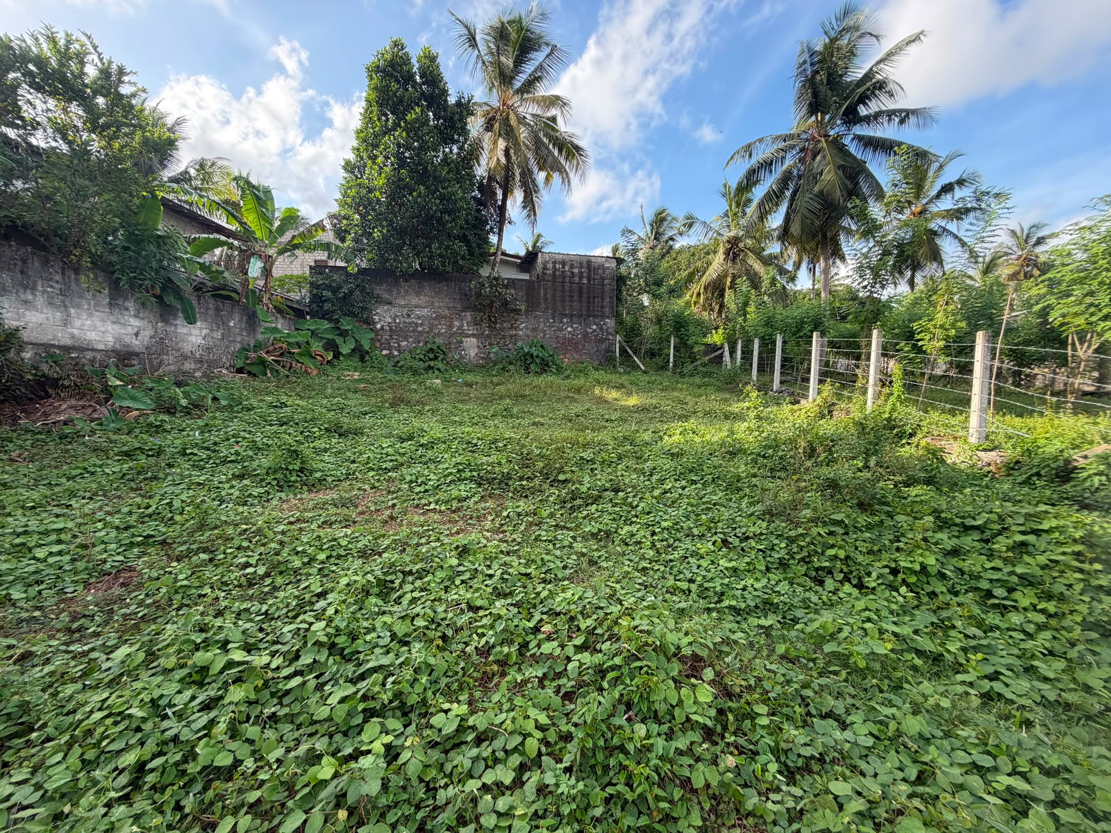 Land For Sale In Bandragama City