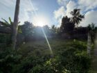 Land For Sale In Bandragama City