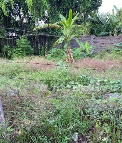 3.5 Perches Land for Sale Wellampitiya