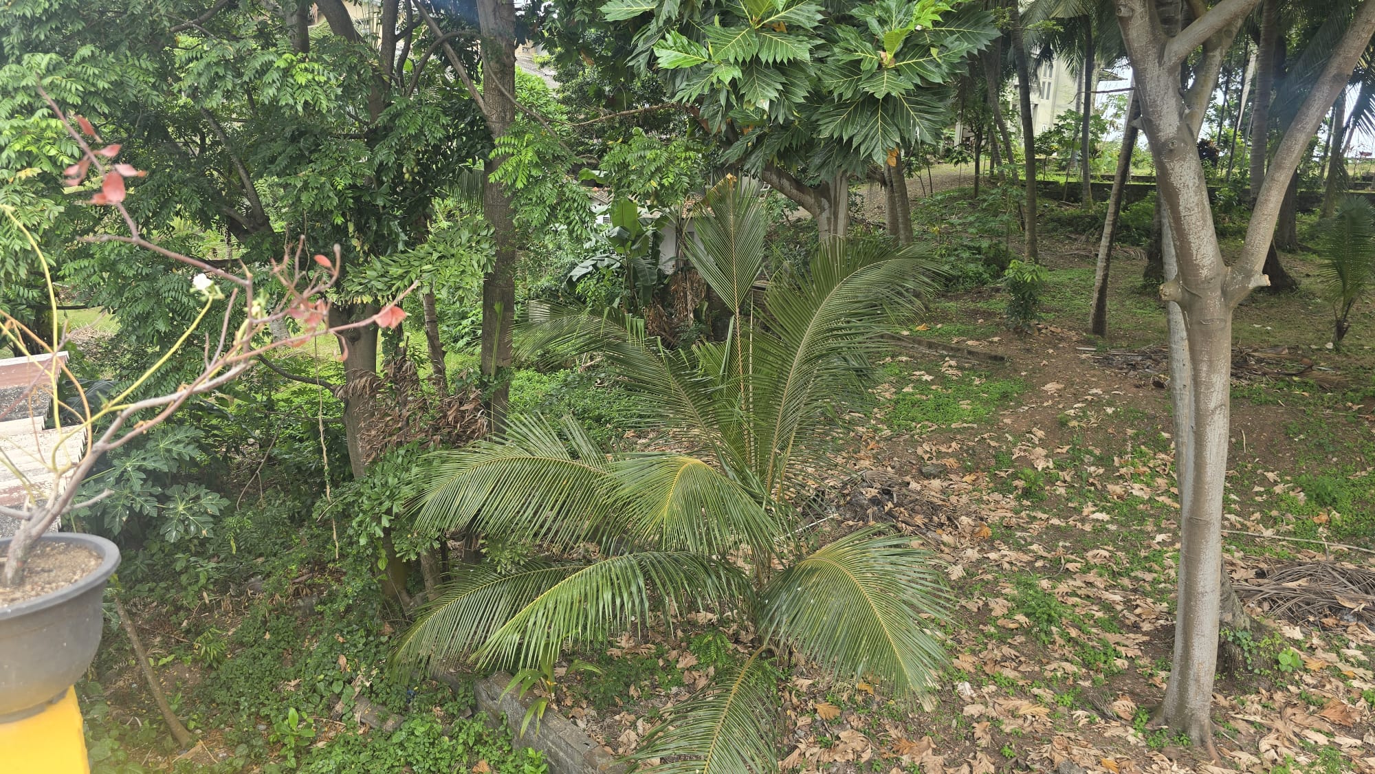 3 Storey House for Sale in Colombo 15