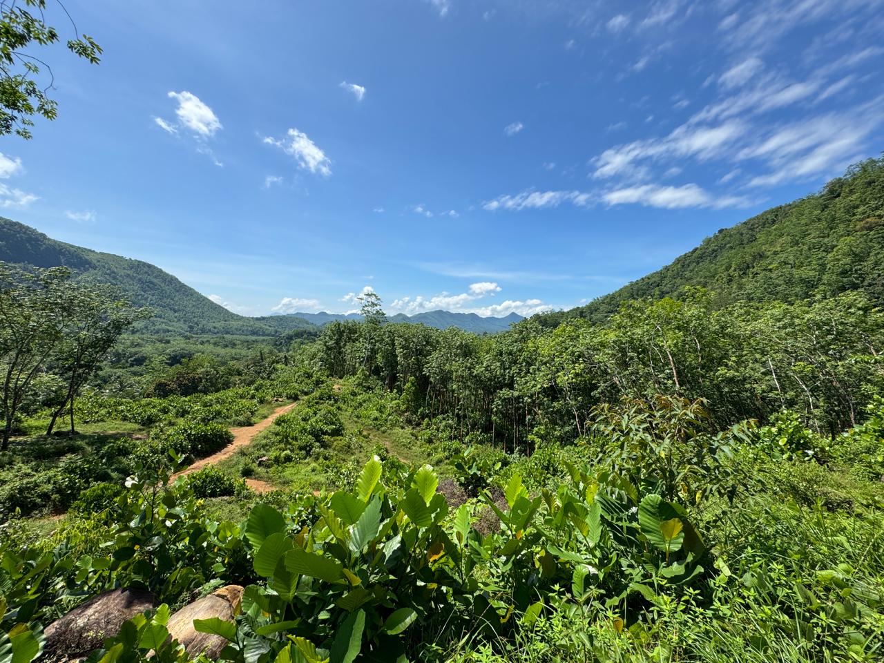 Scenic Land with 180 Degree Mountain Range View in Kiriella