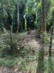 27 Perches Land for Sale in Yakkala Town